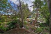 Picture of Land for Sale in Central Pattaya